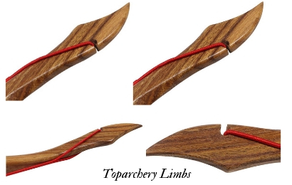 Toparchery Limbs
