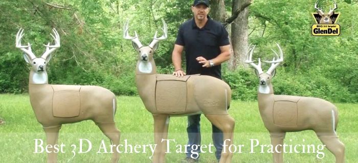 Best 3d Archery Target