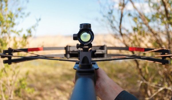 Truth about Bow Optics